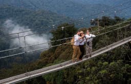 1 Day Canopy Walk Adventure in Nyungwe National Park