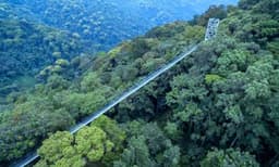 1 Day Canopy Walk Adventure in Nyungwe National Park