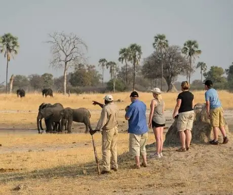 7 Days Kenya Highlights Safari